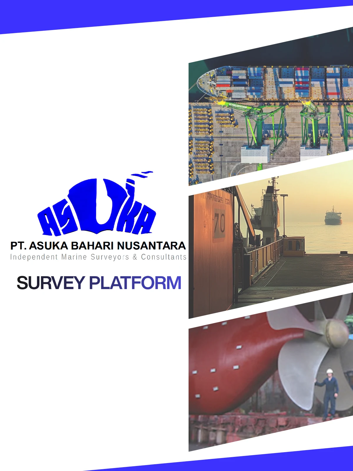 Survey Platform